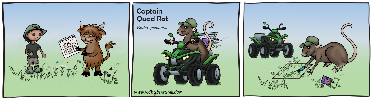 Cartoon strip with three panes. First: farmer and cow discuss meadow plants and a calendar. Second: Captain Quad Rat riding a quad with fieldwork equipment on the back. Third: Captain Quad Rat cuts hay samples in the meadow.