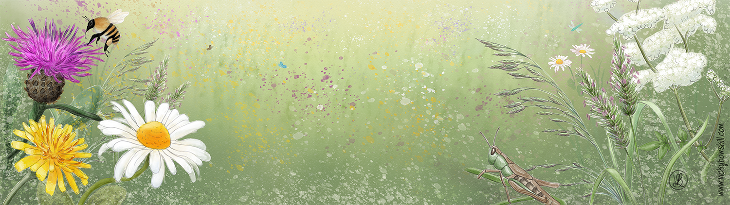 Watercolour painting of meadow flowers, a bee and a grasshopper.