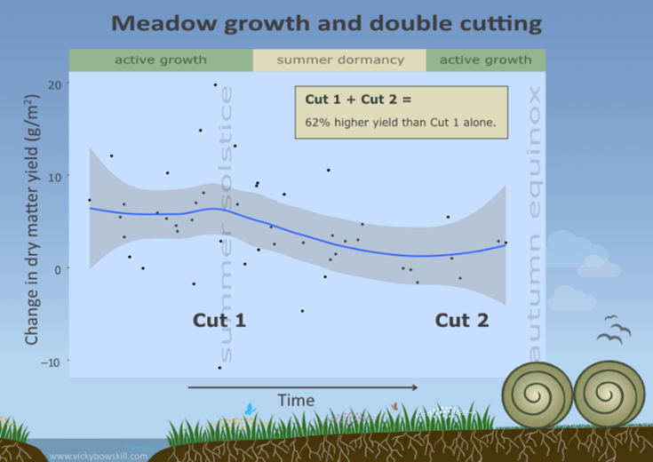 Working with seasonal growth on floodplain meadows – Inklusive Nature CIC