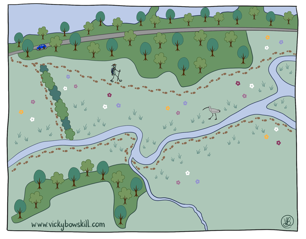 Cartoon map of a meadow