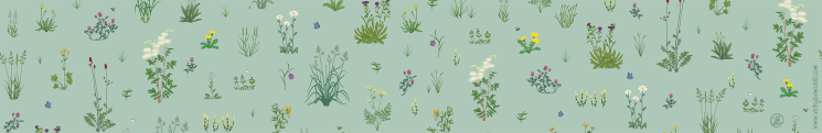 Repeating pattern featuring meadow species on a light green background
