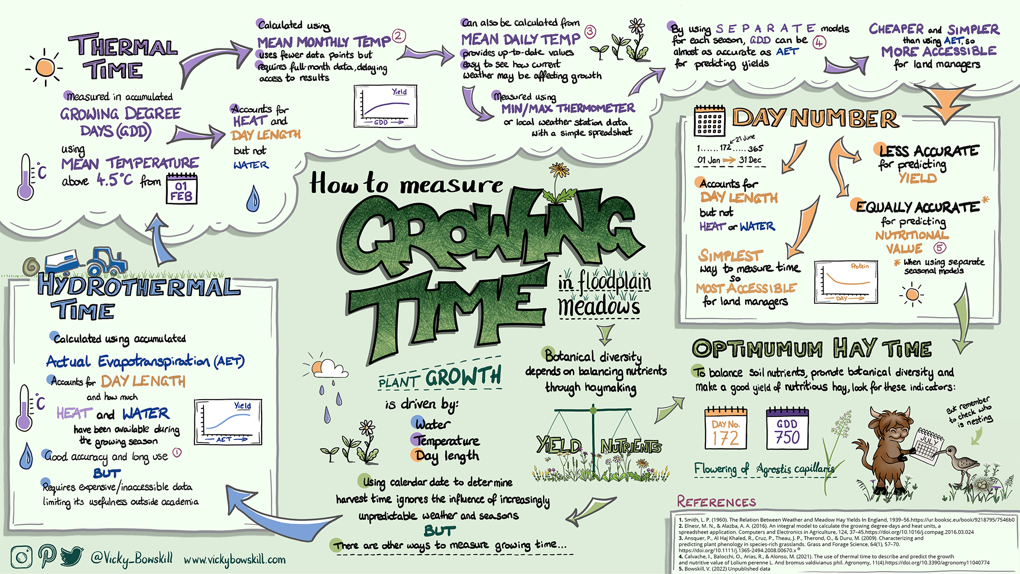 Visual summary about how to measure growing time in floodplain meadows. By Vicky Bowskill.