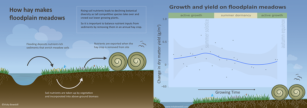 Figure 1 'How hay makes floodplain meadows' and Figure 2 'Growth rate and yield on floodplain meadows'