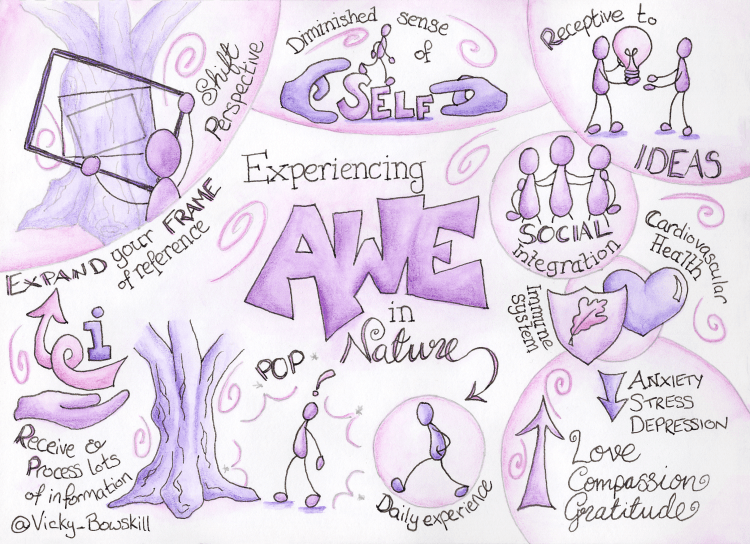 Three sketchnotes summarising the benefits of awe. By Vicky Bowskill