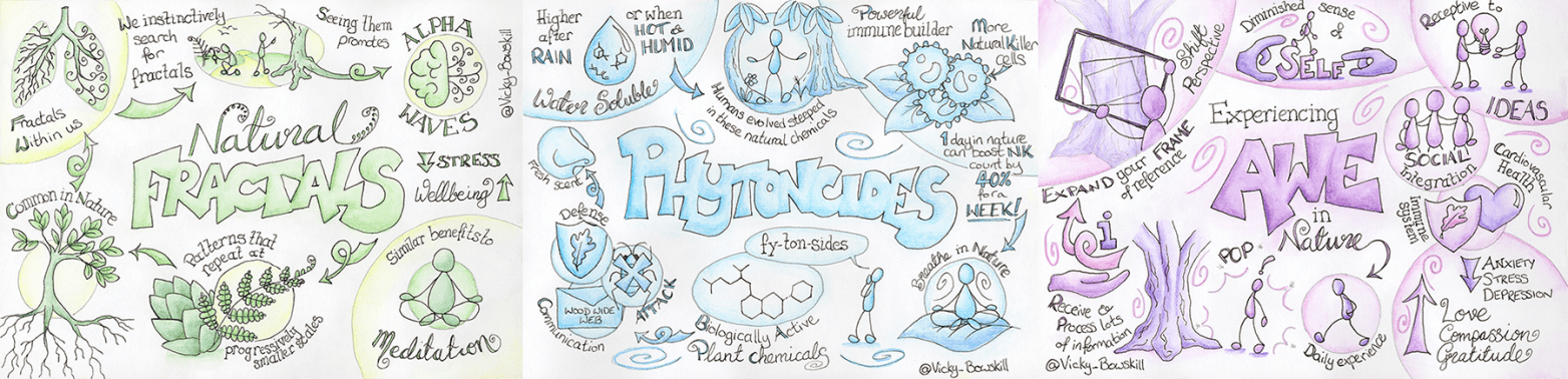Three sketchnotes summarising the benefits of Forest Bathing: fractals, phytoncides and awe. By Vicky Bowskill