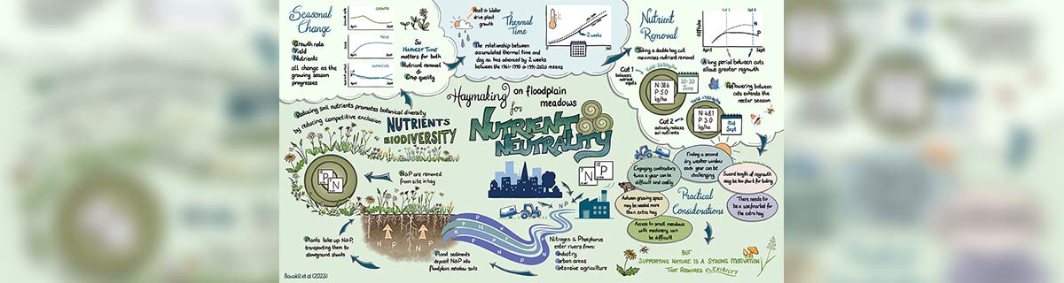 Nutrient Neutrality visual summary