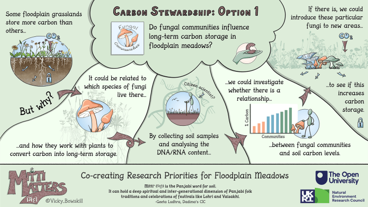 Mitti Matters project, Option 1