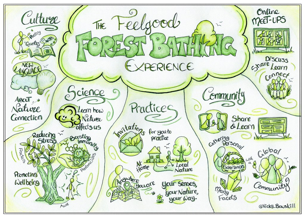 The Feelgood Forest Bathing Experience