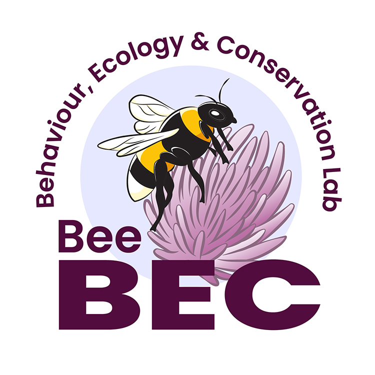 BeeBEC logo